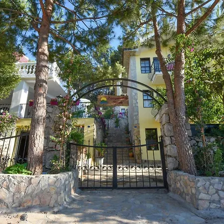 Bougainvillea Houses A1